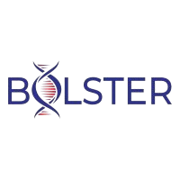 Bolster d o o logo removebg preview